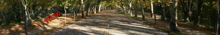 Spain. Madrid. Casa de Campo (143_madrid_pano01.jpg). Canon EOS 5D 4020 x 8234 (Taken: 12/11/2011 18:21:55)